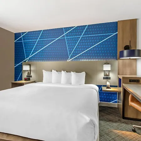 Comfort Inn & Suites Irving Las Colinas Dfw-3