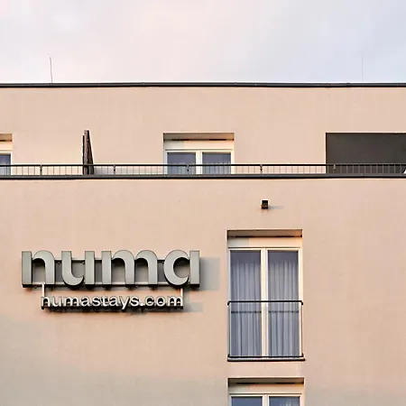 Numa Berlin Boxer-3