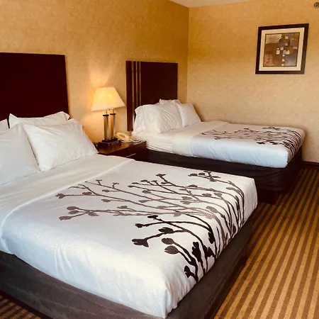 Lynchburg Grand Estate By Ihg-2