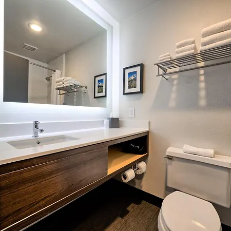 Holiday Inn Tacoma Mall By Ihg-3