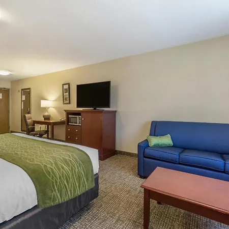 Comfort Inn Kennewick Richland-2
