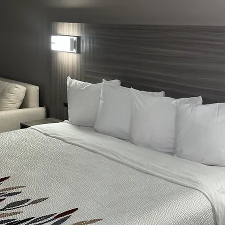 Red Roof Inn & Suites Middleborough-2