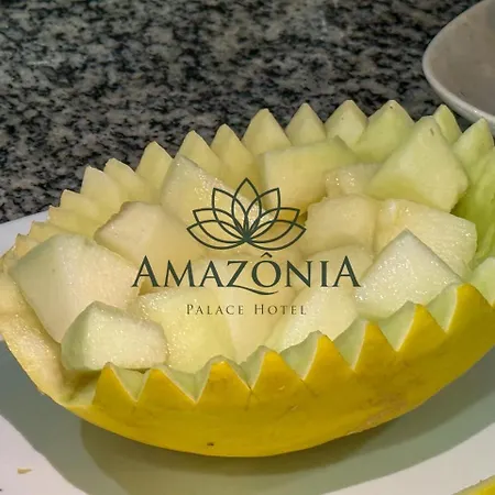 Amazônia Palace Hotel-3