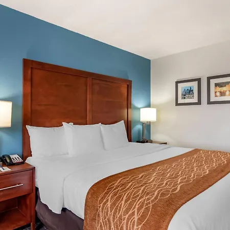 Comfort Inn & Suites Lees Summit - Kansas City-2