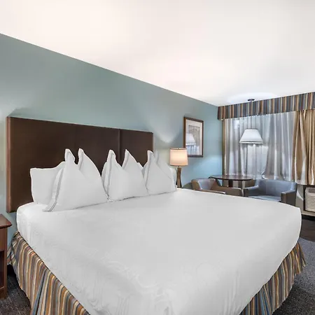 Best Western Windsor Inn-3