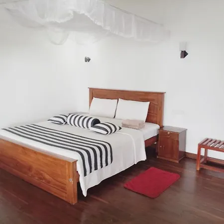Blue Ribbon Homestay-2