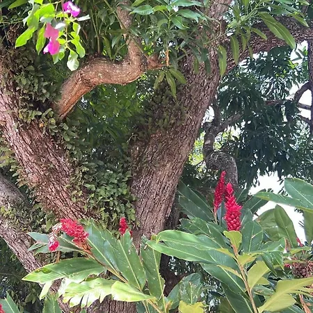 Pousada Casagrande-3