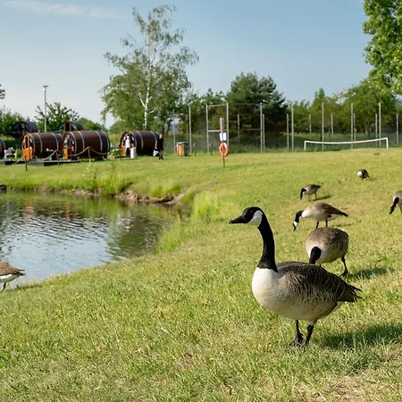 KNAUS Campingpark Bad Dürkheim-2