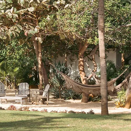 Muita Paz-3
