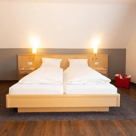 Hotel Traube am See-2