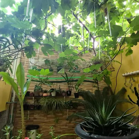 Pousada Casa Verde-3