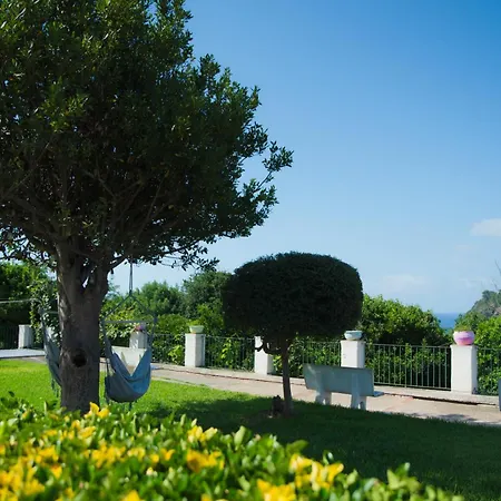 Belvedere-3