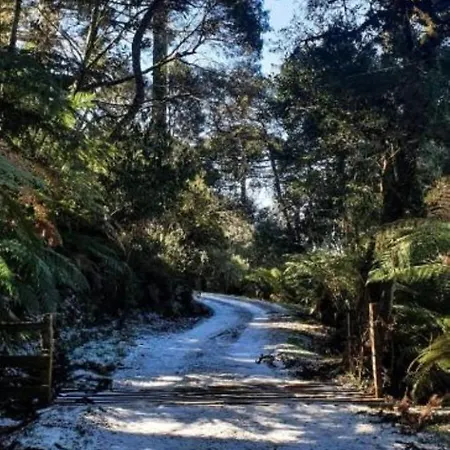 Snow Valley-3