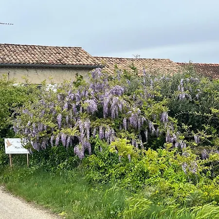 Chambres D'Hotes Et Gites Le Mas Mellou-2
