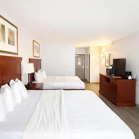 Seffner Inn And Suites-3