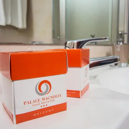 Hotel Palace Magnolia SPA-2