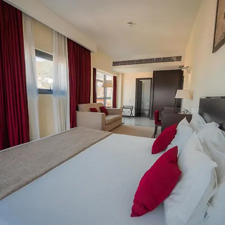 Hotel Sao Pedro - Arouca-2