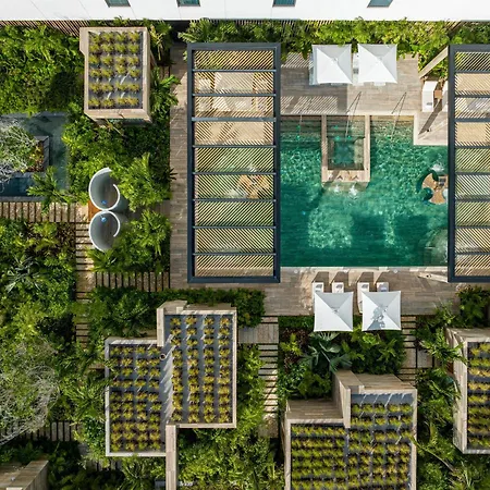 Waldorf Astoria Riviera Maya, An All-Inclusive Experience-2