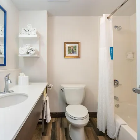 Hampton Inn & Suites Flagstaff - West-2