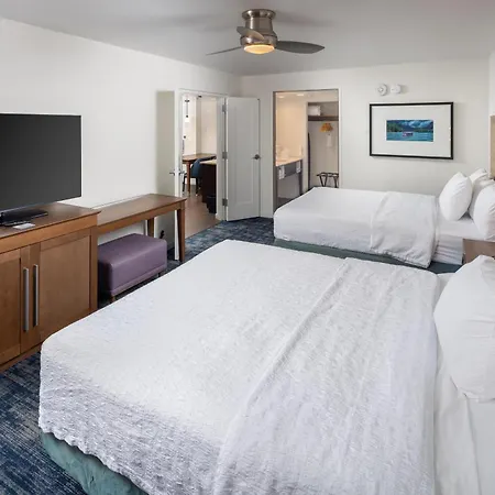 Hampton Inn And Suites Asheville Airport-3