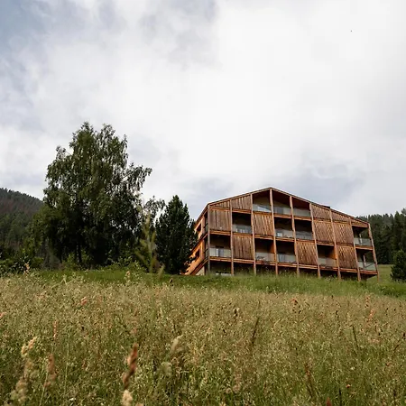 Gailerhof Boutique Hotel B&B Dolomites-2