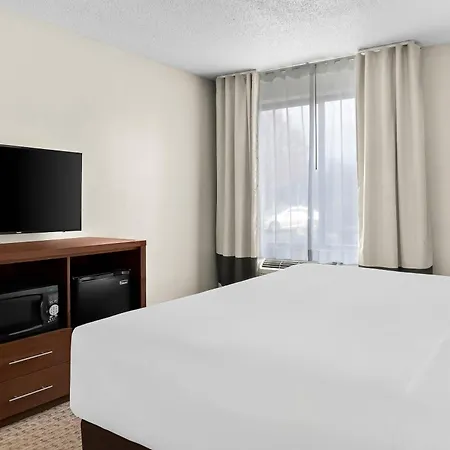Comfort Inn & Suites Taylor - Detroit-3