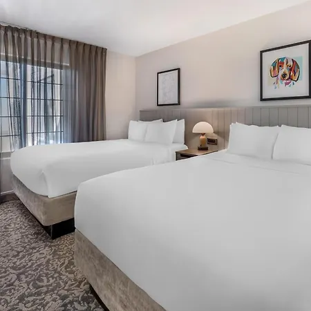 Sonesta Es Suites Anaheim Resort Area-2