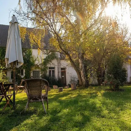 Rhein River Guesthouse - direkt am Rhein-3