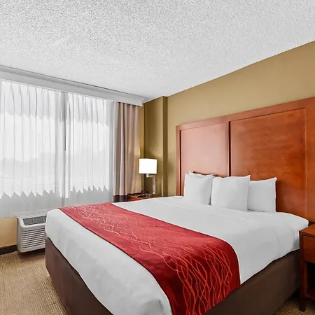 Comfort Inn & Suites Lakeland North I-4-3