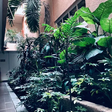 Hotel Mina-2