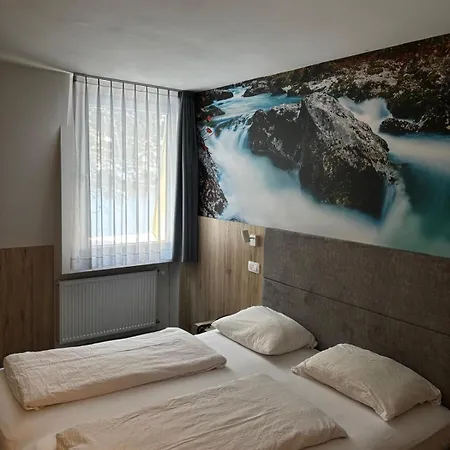 Hotel Alpina-3