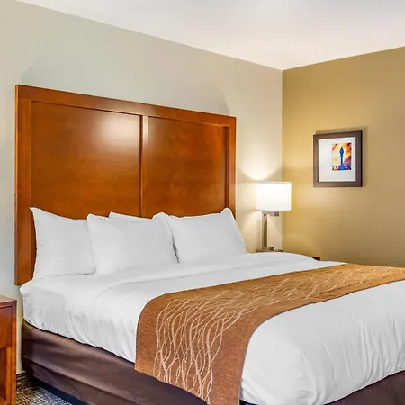 Comfort Inn Dekalb - University Area-2