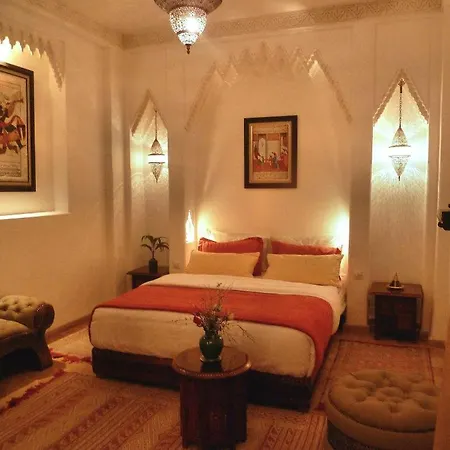 Riad Viva-3
