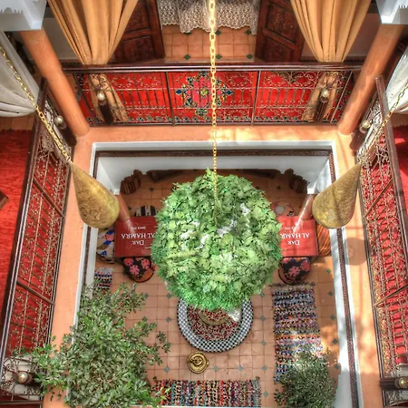 Riad ELIZZI-2