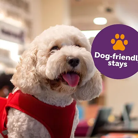 Premier Inn Dubai Al Jaddaf - An Emirates Group Company-3