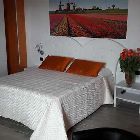 Capital Bed Porto Cesareo-2