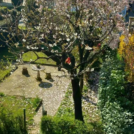 B&B delle Arti-3