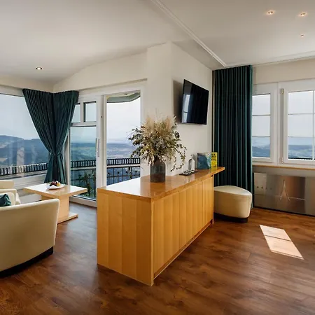 Uto Kulm - Top Of Zurich-2