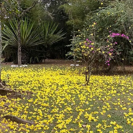 Pousada Ypê Amarelo-3