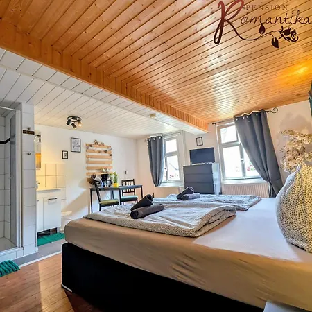 Gaestehaus Pension Romantika-2