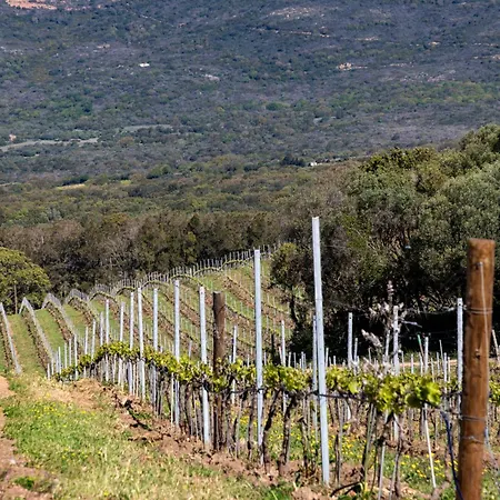 Domaine De Peretti Della Rocca-2