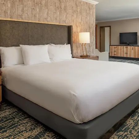 Edgewater Missoula, Tapestry Collection By Hilton-2