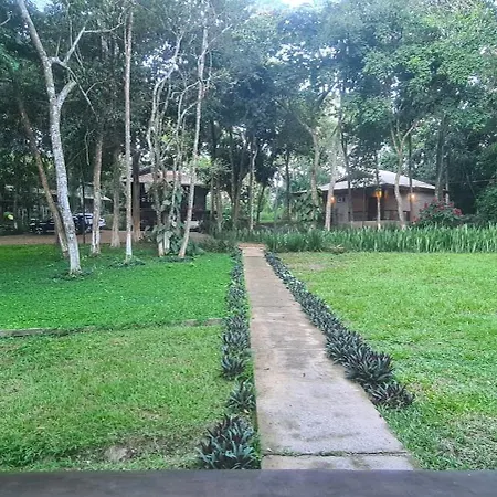 Bosque São Francisco-2
