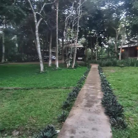 Bosque São Francisco-3