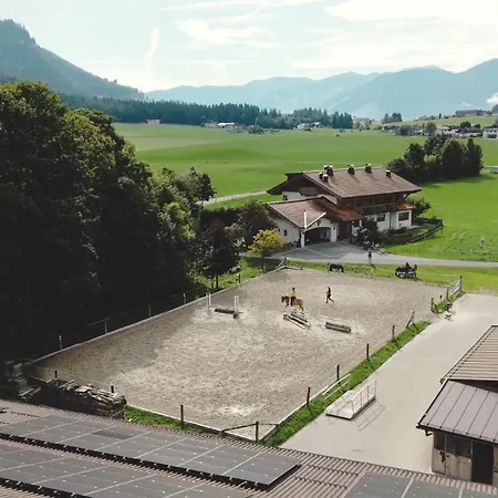 Hotel Schörhof-3