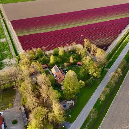 De Buitenhof-2