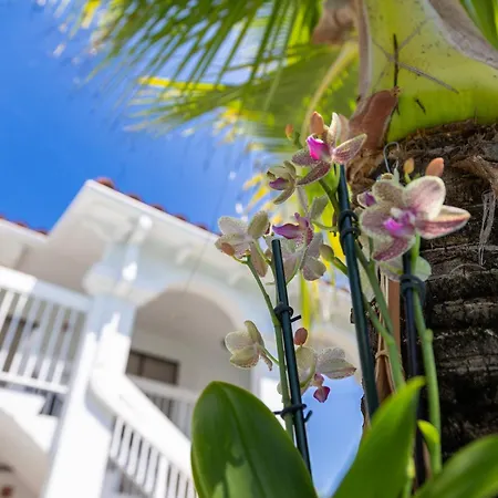 Palm Breeze Hotel-2