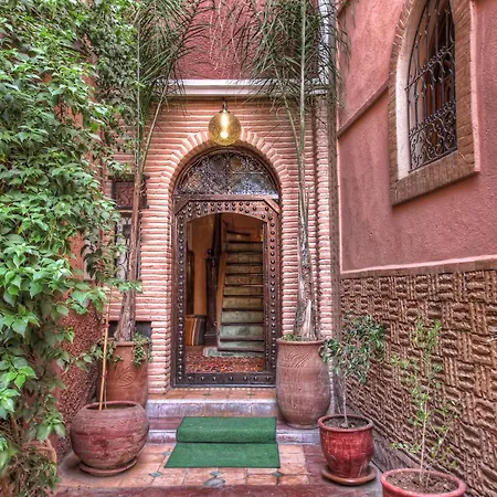 Riad ELIZZI-2