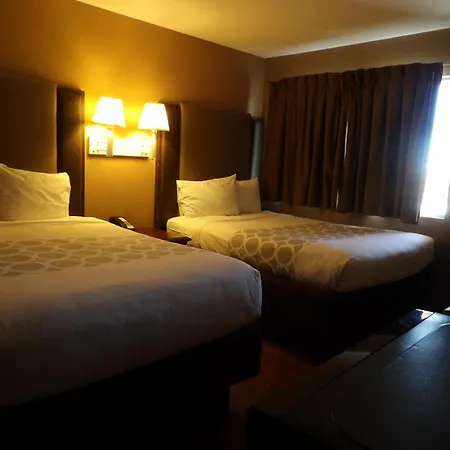 Econo Lodge Inn & Suites Yuma-3