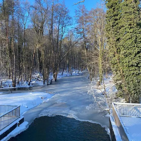 Neue Mühle Hotel&Restaurant-3